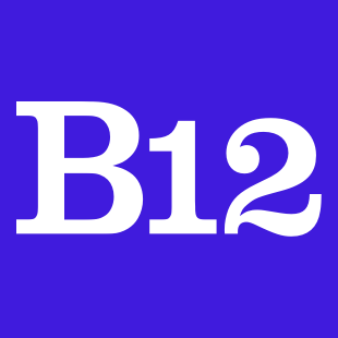 B12 AI Websites